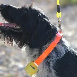 Cloche ALP Jaune -Camping Rabais Magasin cloche alp jaune 2