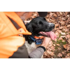 Collier Anti-aboiement Pour Chien Num'axes Canicalm Premium -Camping Rabais Magasin collier anti aboiement pour chien numaxes canicalm premium 2