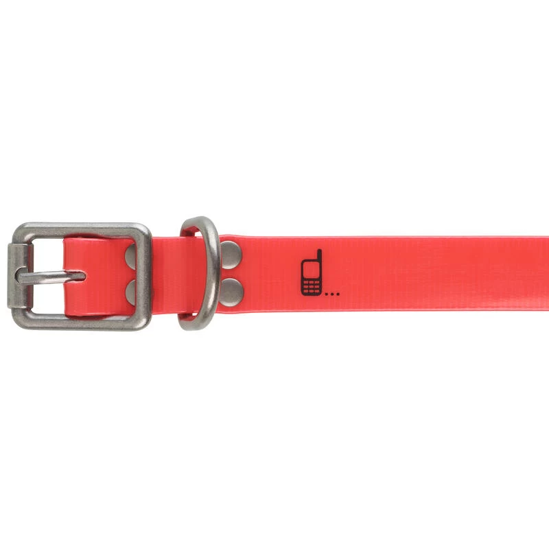 Collier Chien Rouge 500 4 Collier Chien Rouge 500 – Image 4
