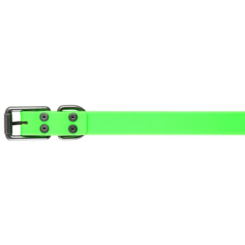 Collier Chien Vert 900 7 Collier Chien Vert 900 – Image 7