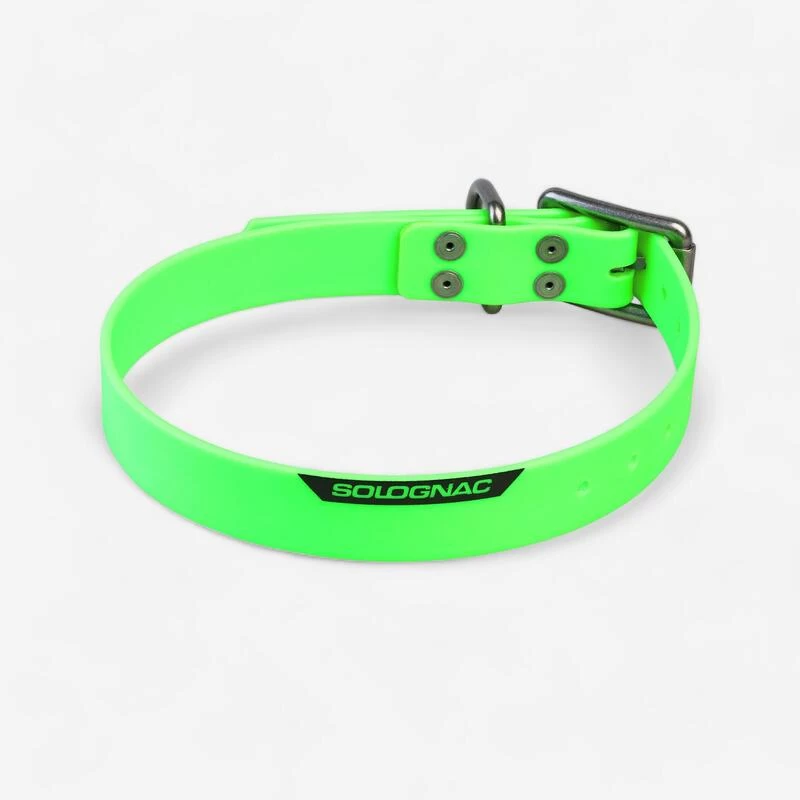 Collier Chien Vert 900 1 Collier Chien Vert 900