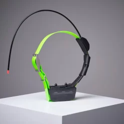 Collier Supplémentaire Repérage Et Dressage Pour Chien Garmin TT15X