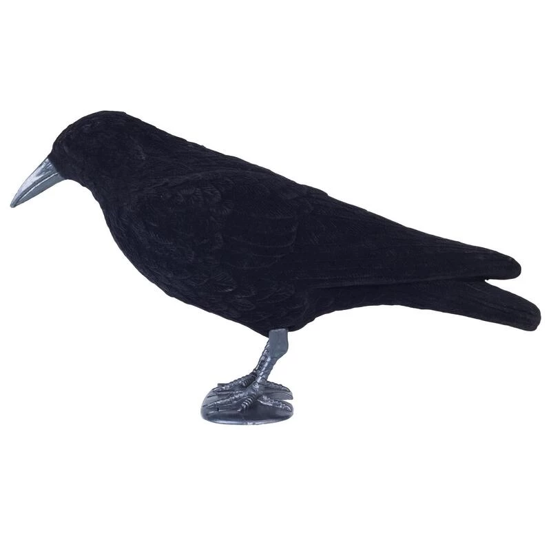 FORME CORBEAU FLOQUE 5 FORME CORBEAU FLOQUE – Image 5