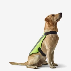 GILET CHIEN CHASSE JAUNE 100 9 GILET CHIEN CHASSE JAUNE 100 -Camping Rabais Magasin gilet chien chasse jaune 100 2