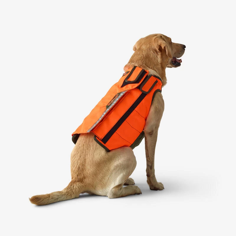 Gilet De Protection Pour Chien Supertrack 3 Gilet De Protection Pour Chien Supertrack – Image 3