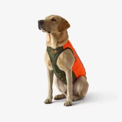 Gilet De Protection Pour Chien Supertrack 9 Gilet De Protection Pour Chien Supertrack -Camping Rabais Magasin gilet de protection pour chien supertrack 3