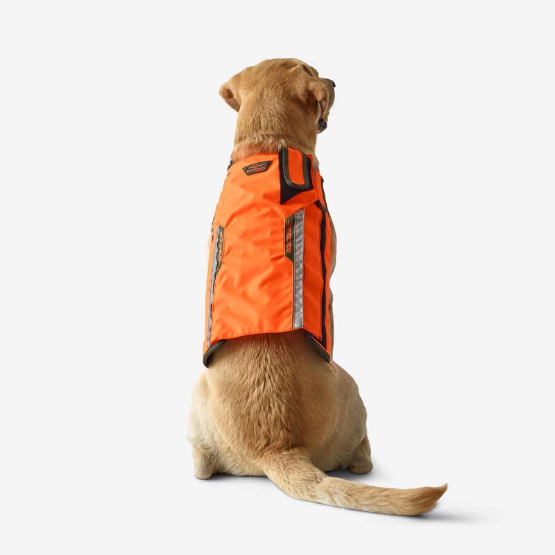 Gilet De Protection Pour Chien Supertrack 6 Gilet De Protection Pour Chien Supertrack – Image 6