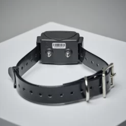 Pack Collier + Télécommande De Dressage Pour Chien Num'axes Canicom 300 -Camping Rabais Magasin pack collier telecommande de dressage pour chien numaxes canicom 300 4