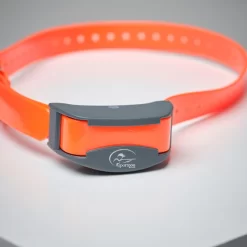 Pack Collier + Télécommande De Dressage Pour Chien Sportdog SD-875 -Camping Rabais Magasin pack collier telecommande de dressage pour chien sportdog sd 875 3