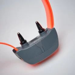 Pack Collier + Télécommande De Dressage Pour Chien Sportdog SD-875 -Camping Rabais Magasin pack collier telecommande de dressage pour chien sportdog sd 875 4