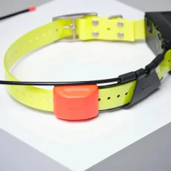 PACK COLLIER + TÉLÉCOMMANDE DE REPÉRAGE/DRESSAGE CHIEN GARMIN ALPHA 200 T5X -Camping Rabais Magasin pack collier telecommande de reperagedressage chien garmin alpha 200 t5x 7